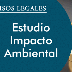 ESTUDIO IMPACTO AMBIENTAL
