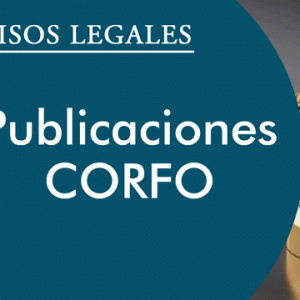 PUBLICACIONES CORFO
