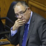 huenchumilla2-150x150-1