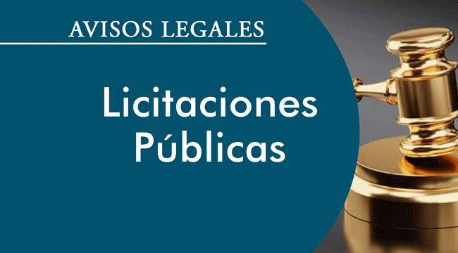 Licitaciones-Publicas